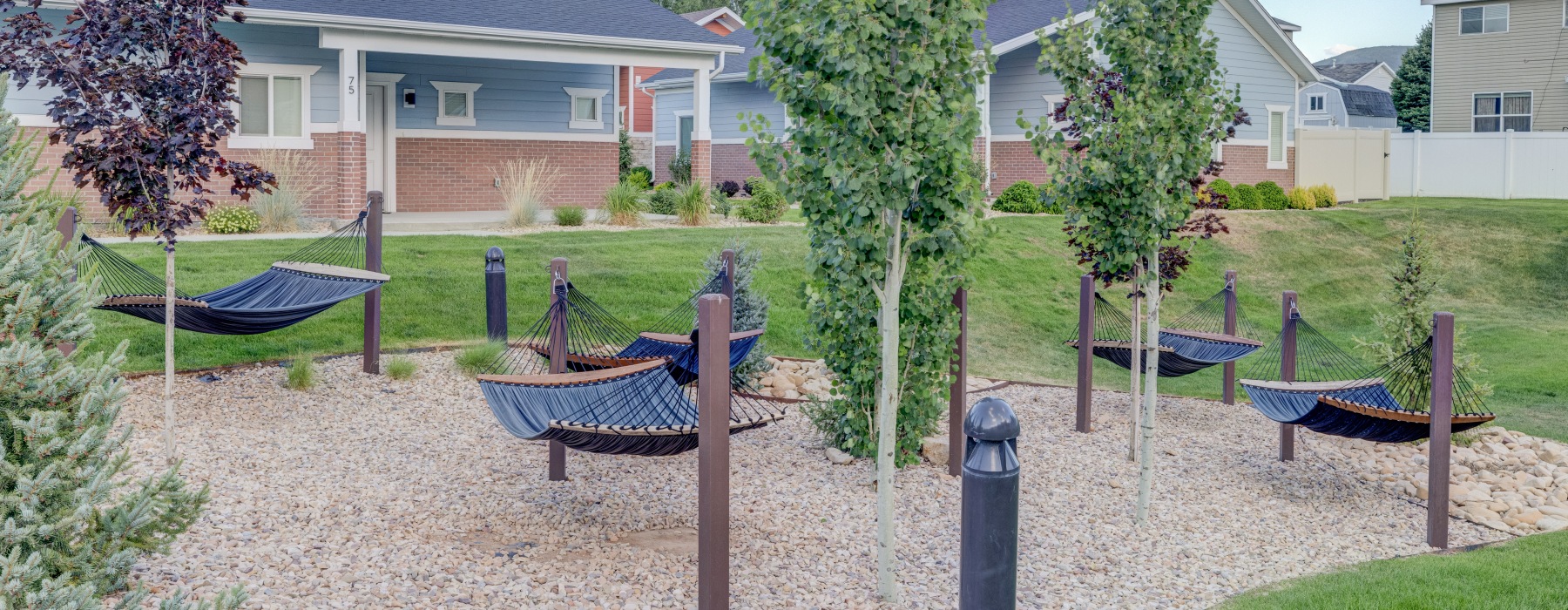 a hammock area with small trees